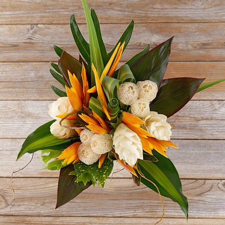 Tropical Flowers Exotic Flowers The Bouqs Co