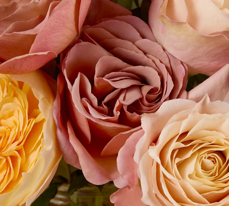 Mixed garden roses in shades of pale yellow and mauve