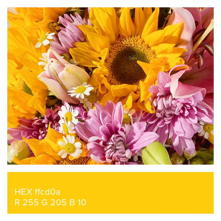 Close up of the Full of Grace Bouq and a yellow box with HEX ffcd0a and R 255, G 205, B 10