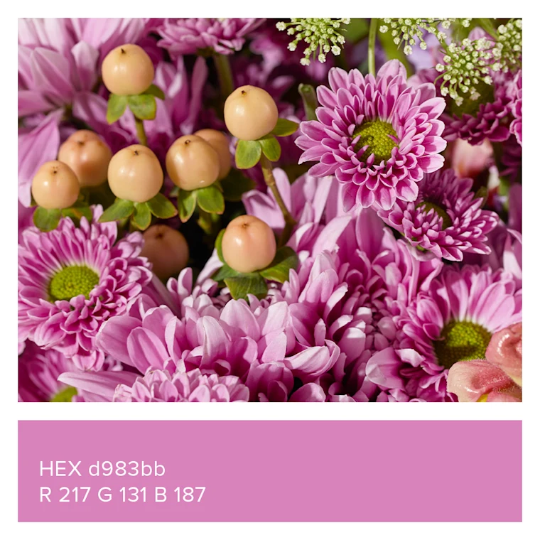 Close up of the Dreamy Meadow Bouq and a purple box with HEX d983bb and R 217, G 131, B 187