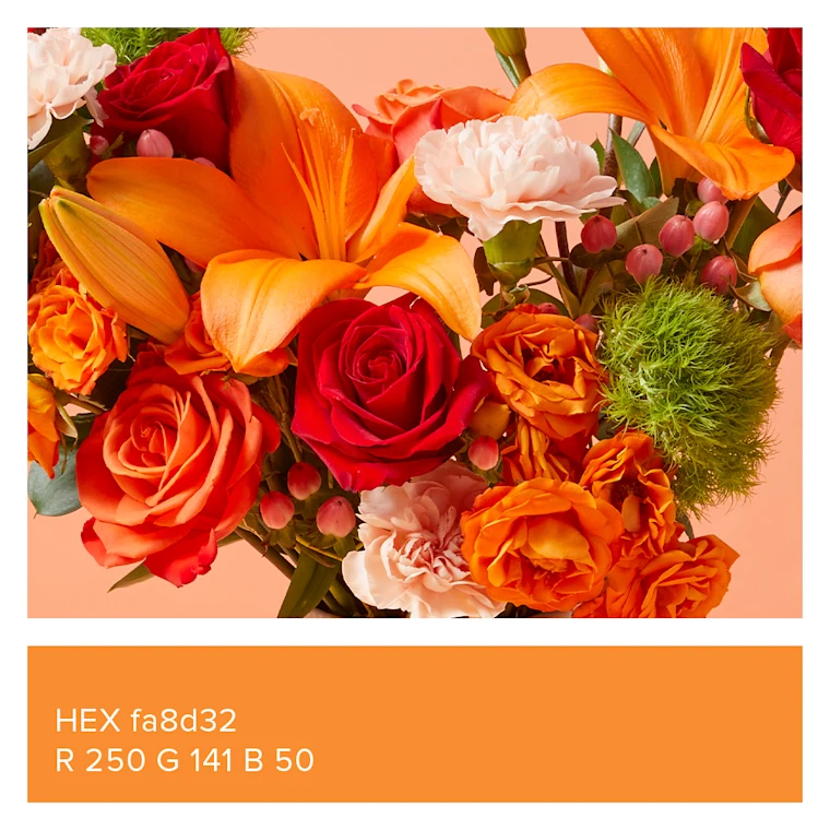 Close up of the Candy Crush Bouq and an orange box with HEX fa8d32 and R 250, G 141, B 50