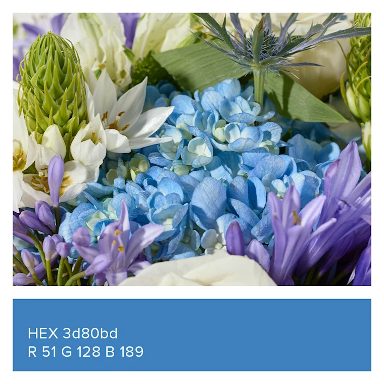 Close up of the Aquamarine Bouq and a blue box with HEX 3d80bd and R 51, G 128, B 189