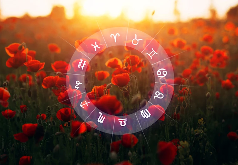 zodiac flowers blog