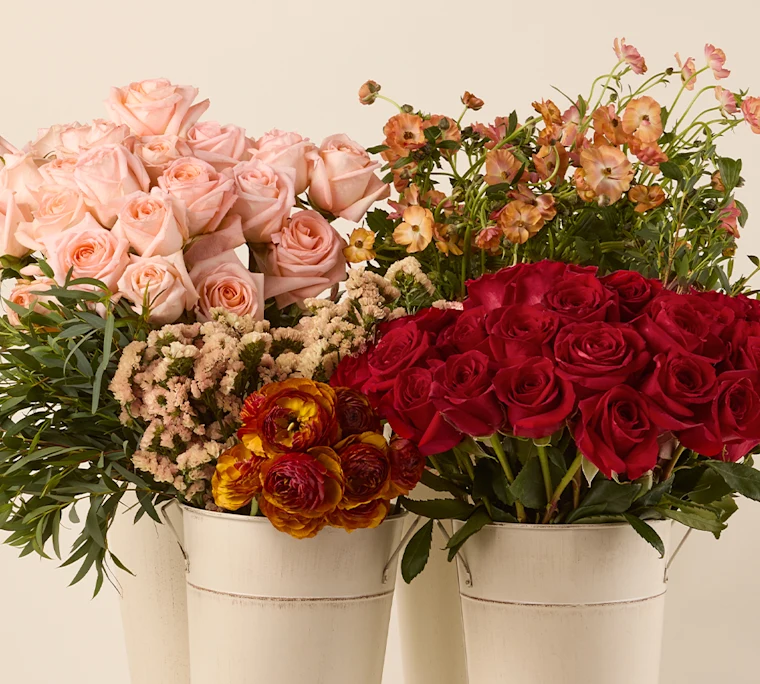 The Autumn DIY Flower Box featuring red and pink roses, brown ranunculus, butterfly ranunculus and filler