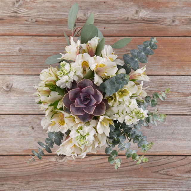 Succulent Bouquets: Succulent Delivery - The Bouqs Co.