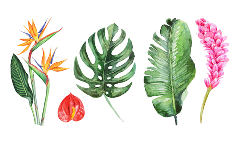 Care instructions image