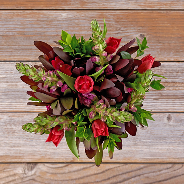 INACTIVE Holiday Reddy