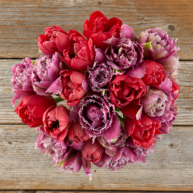 Better Than Chocolate