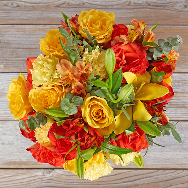 ARCHIVED Autumn Skies