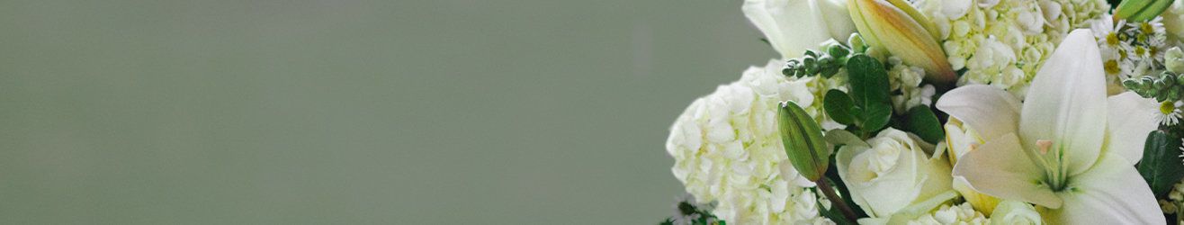 category-banner-img