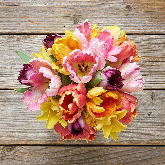 rainbow tulip floral arrangement