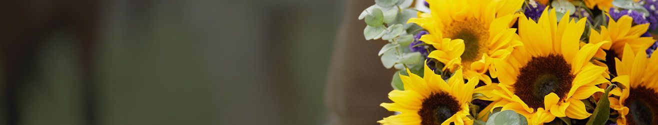 Sunflower bouquet