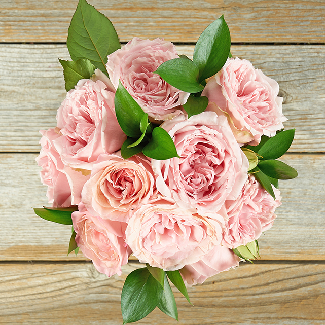 DO NOT USE-Valentina