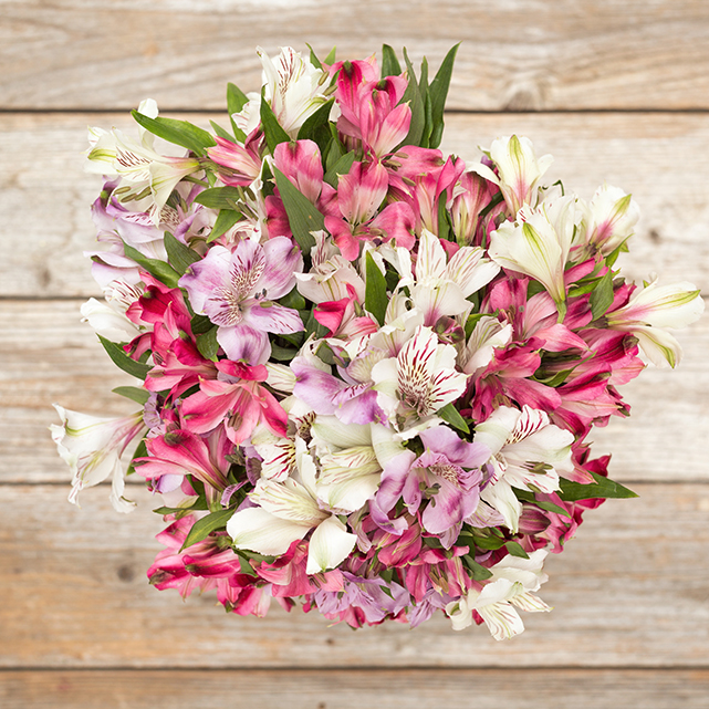 Pink White And Purple Alstroemeria Bouquet The Bouqs Co