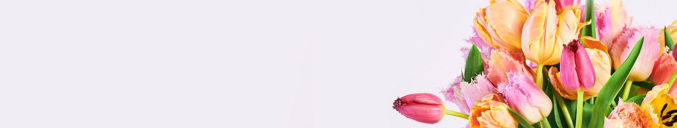 category-banner-img