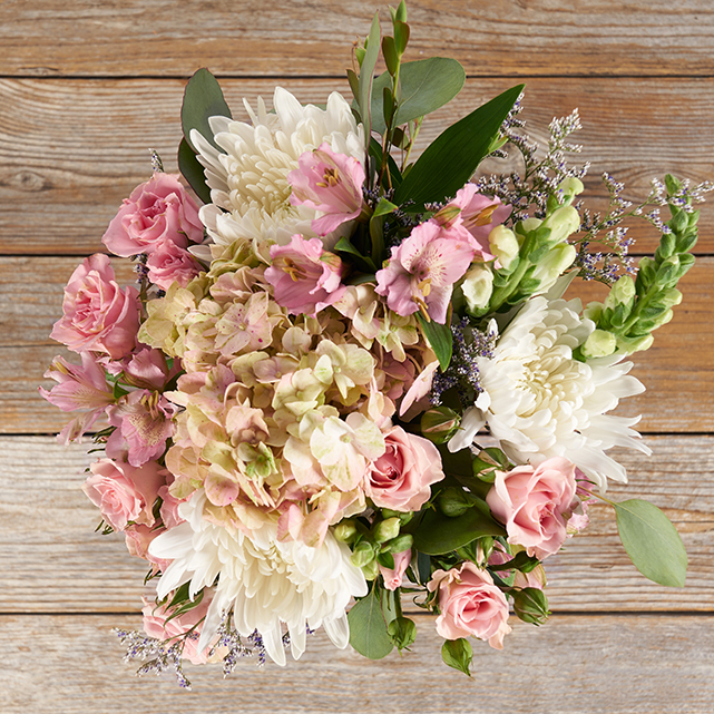 INACTIVE Sunny Afternoon