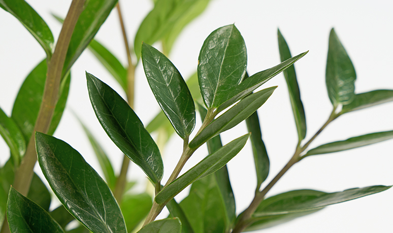 Care instructions image