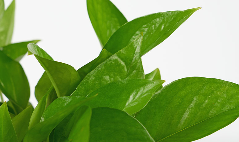 Care instructions image