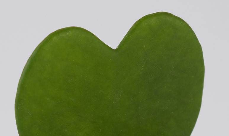 Care instructions image