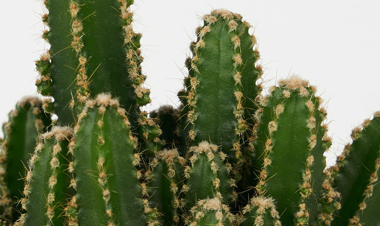 Care instructions image