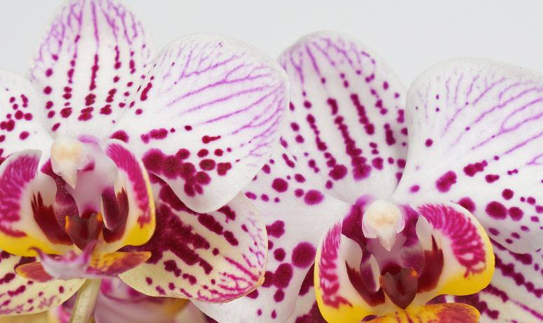 Care instructions image