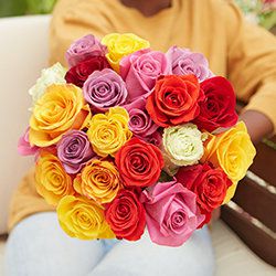 woman holding a multicolor rose bouquet