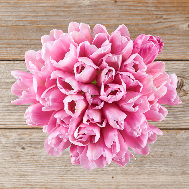 DUPLICATE DO NOT USE Ballerina