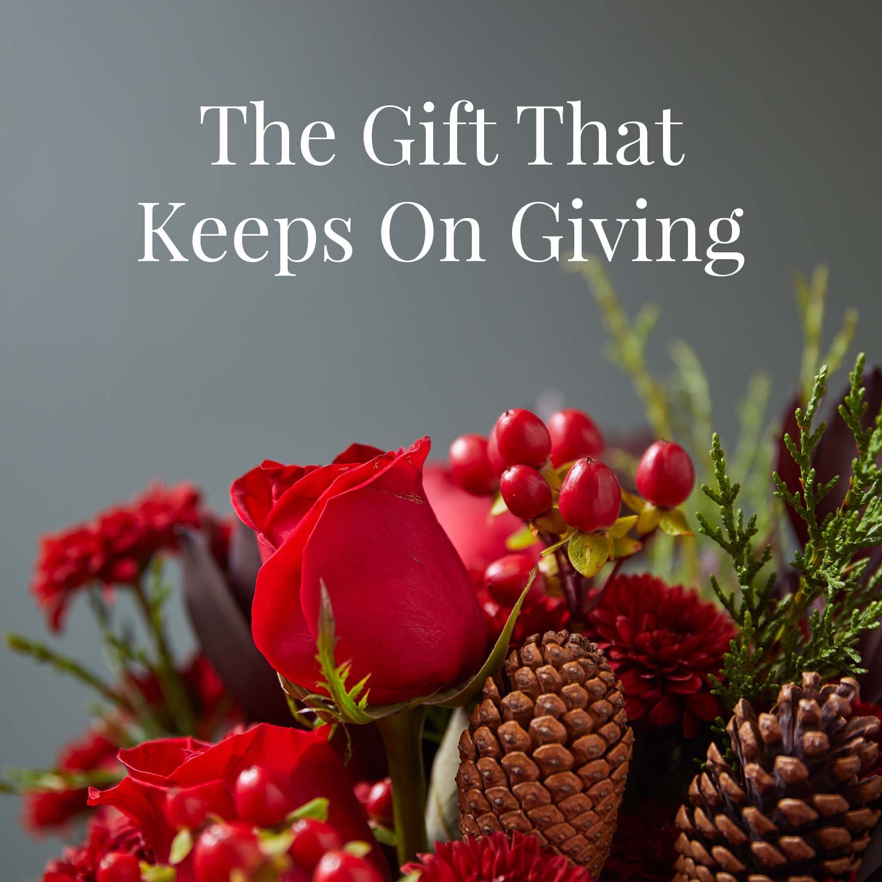 Valentine's Day Flower Delivery The Bouqs Co.