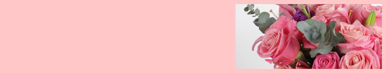category-banner-img