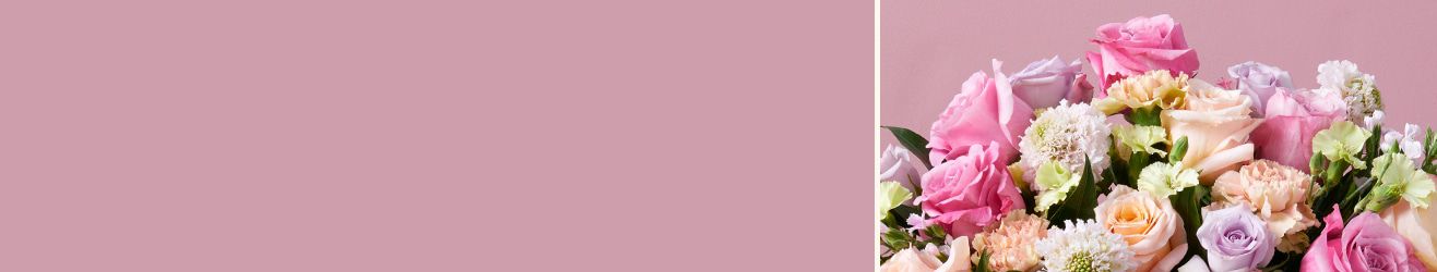 category-banner-img