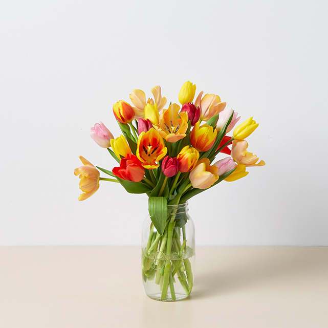 Flowers Delivery Dayton Ohio Best Flower Site