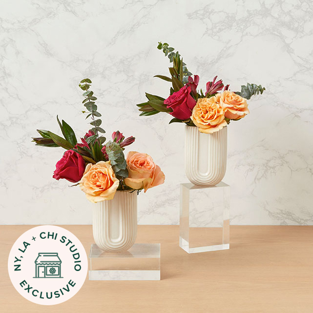 The Fireside Flannel Budvase Duo