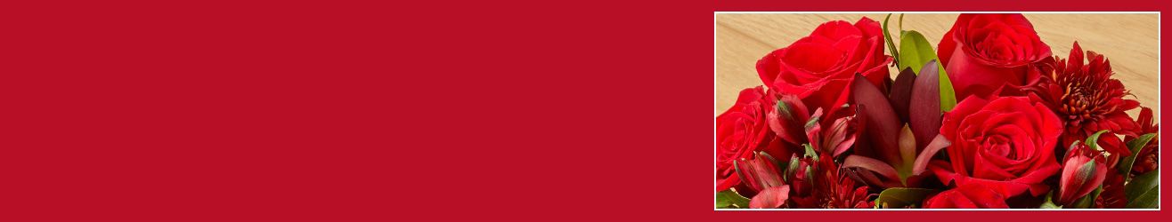 category-banner-img
