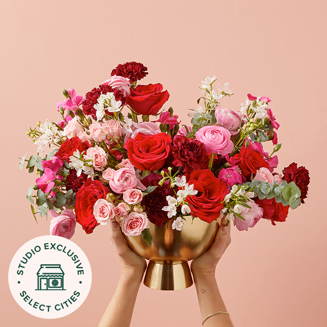 The Amour Arrangement