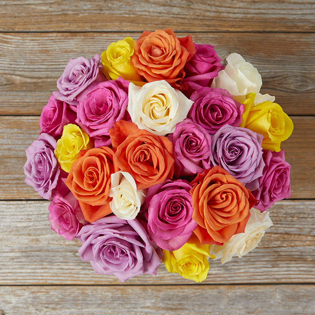 colorful rose mix