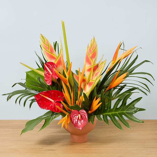 The Tropical Arrangement