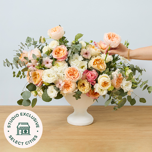 The Peach Dream Arrangement