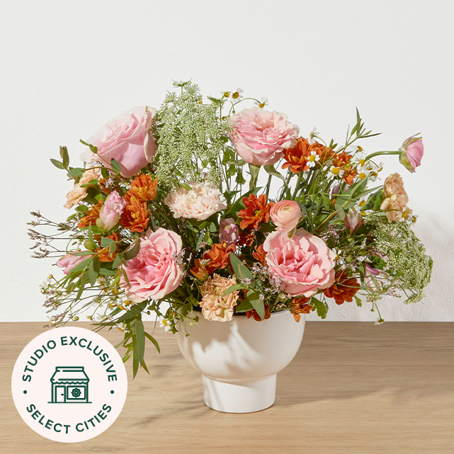 The Meadow Arrangement