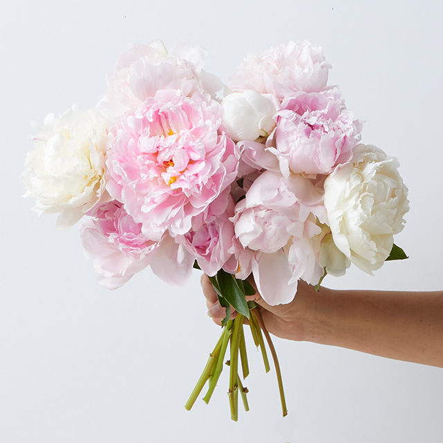 Farmer's choice peony bouquet featuring seasonal peony varieties.