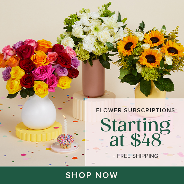 Birthday Plants - Birthday Plant Delivery - The Bouqs Co.