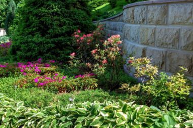 A backyard garden filled with gorgeous plants and greenery.