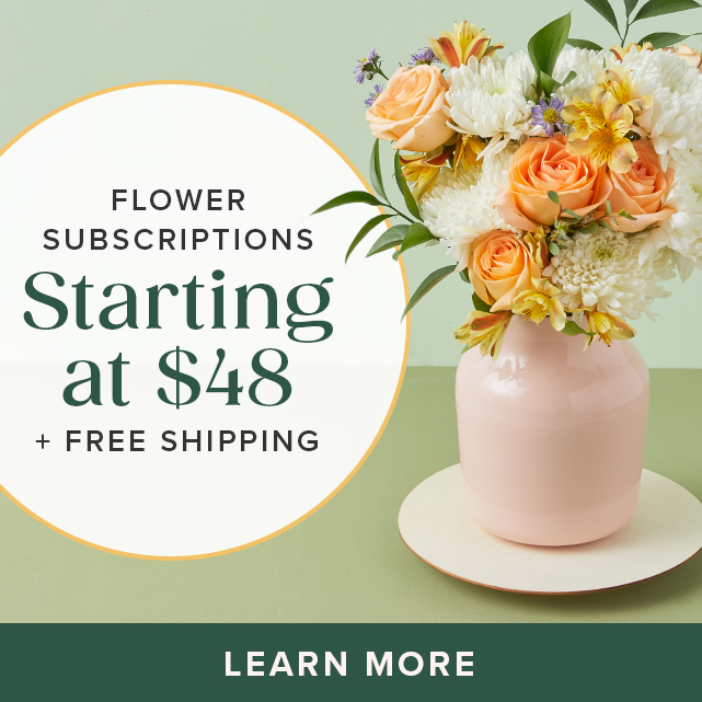 flower subscription box