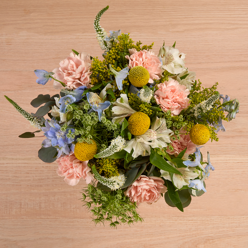 Pink carnation arrangement with white veronica plus blue and yellow accent flowers.