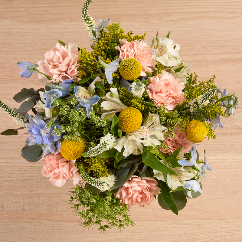 Pink carnation arrangement with white veronica plus blue and yellow accent flowers.