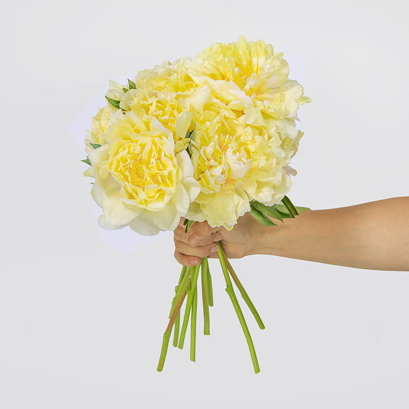 yellow peonies