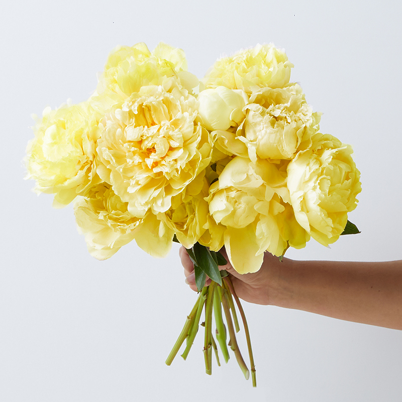 yellow peonies
