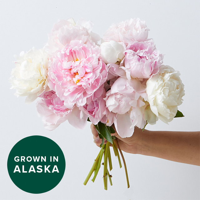Farmer's choice peony bouquet featuring seasonal peony varieties.