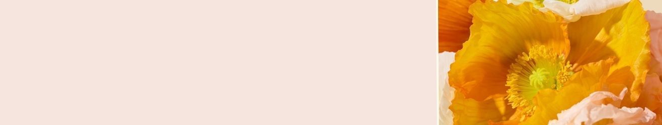 category-banner-img