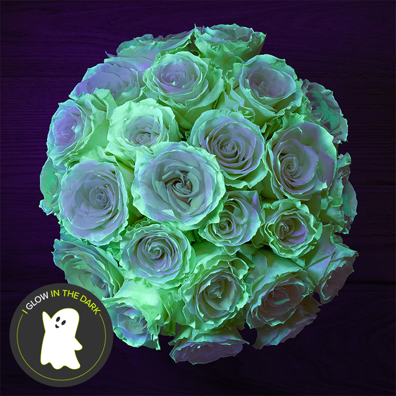 Glow-in-the-Dark Roses