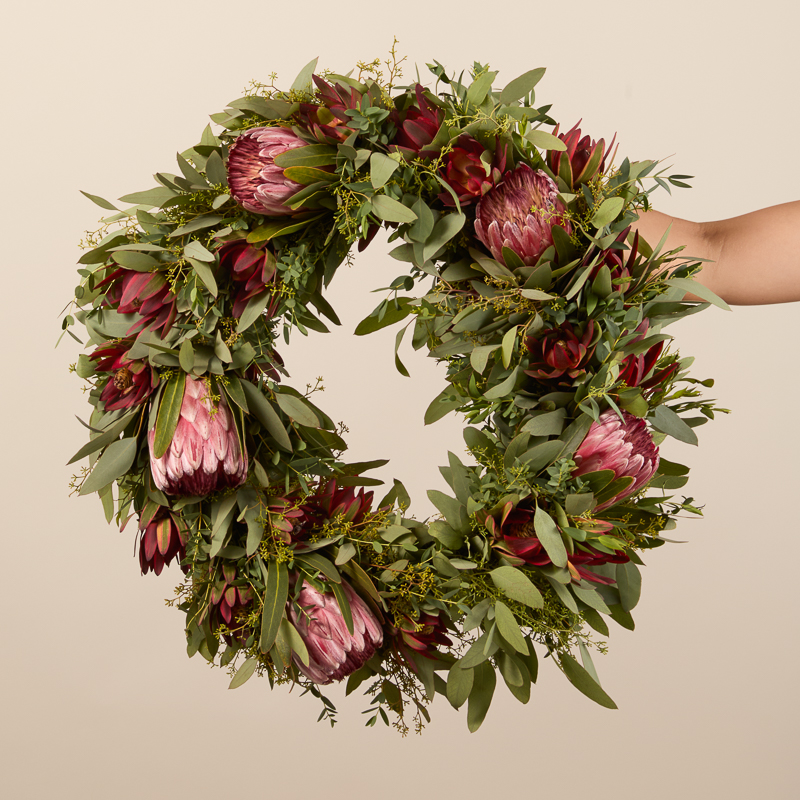 Protea Fresh Wreath